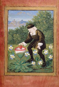 Stowe 955 ff.5v-6 Miniature af Pierre Sala, der taber 