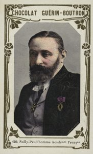 Sully-Prudhomme, Fransk Akademi (farvet foto) af French School