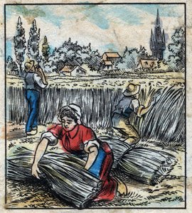 Tekstil, hør: landbrug. Samler linned, der er samlet i en støvle for at blive tør. Gravering. Epinal billeddannelse sidst i det 19. århundrede. af French School