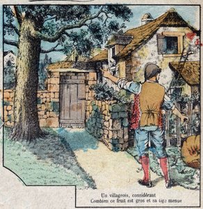 Agernet og græskarret. Fabler af Jean de La Fontaine (1621-95). Billedbillede af Epinal fra slutningen af det 19. århundrede. af French School