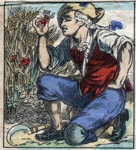 Den gigantiske pløjer fra Brobdingnag greb Lemuel Gulliver. Illustration til "" Gulliver