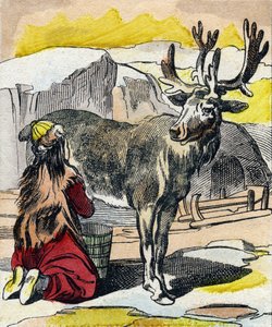Rensdyret, der malkes. Indgravering i "Buffon Alphabet des Animaux". 3. serie N 1. Billeddannelse af Epinal, Epinal, slutningen af 1800-tallet. 16 sider. Mål: 28x21cm af French School