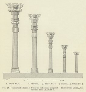 De adskillige kolonner ved Persepolis og Istakhr sammenlignes af French School