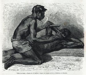 Størrelsen på tænderne i Okanda, tegning af D. Maillard, for at illustrere historien om en tur til Gabon og Ogoue-floden i 1875-1877 af Alfred Marche. Indgravering i Le tour du monde af French School
