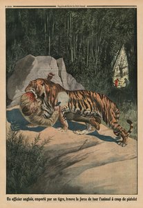 Tiger angriber en britisk officer, bagsideillustration fra 