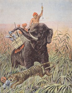 Tigerjagt, Indien (farvelitografi) af French School
