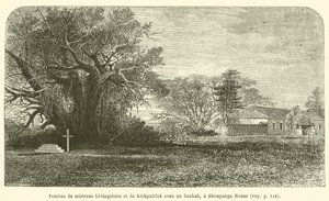 Grave af fru Livingstone og Kirkpatrick under et baobabtræ, ved Shoupanga House (gravering) af French School