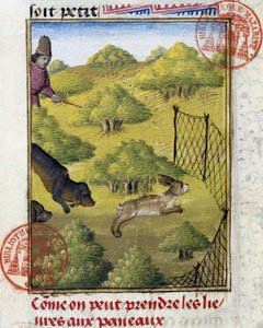 Fælde for hare og jagthunde - i "" Jagtbog af Gaston Phoebus, greve af Foix, Lord of Bearn"" af French School