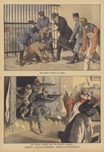 To sensationelle nyheder (farvelitografi) af French School