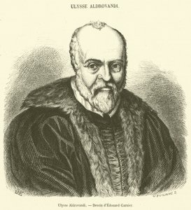 Ulysses Aldrovandi (gravering) af French School