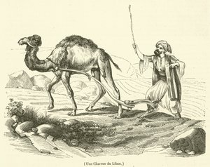 En plov fra Libanon (gravering) af French School