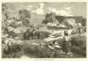 En gård på Fyn (stik) af French School