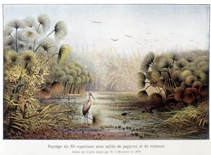 Øvre Nilpassage med papyrus og rørskov. af French School