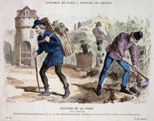 Vinkultur i det 15. århundrede - i "" Costume de Paris gennem århundrederne"" af French School
