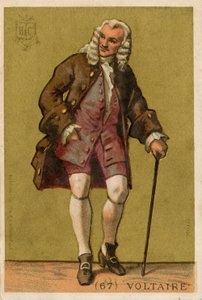 Voltaire af French School