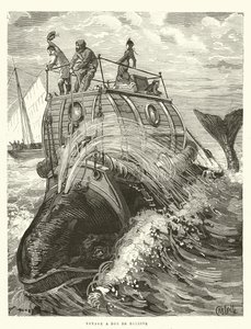 Voyage a Dos de Baleine (stik) af French School