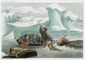 Hvalrosjagt - i "" Le monde de la mer "" af Alfred Fredol, Hachette, Paris af French School