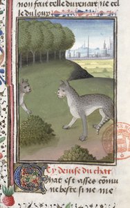 Vilde katte, fra Jagtbogen af ​​Gaston Phebus de Foix (1331-91) af French School
