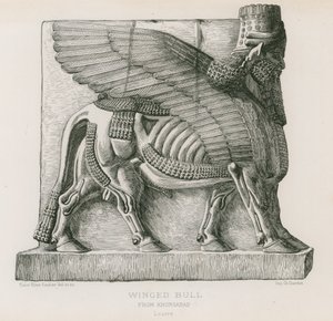 Bevinget tyr, fra Khorsabad, Louvre af French School