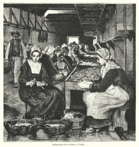 Kvinder tilbereder sardiner (gravering) af French School