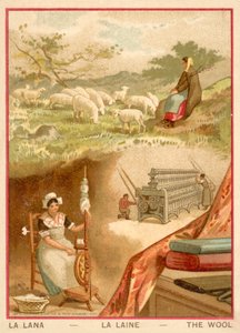 Uld (chromolitho) af French School