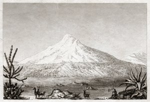 Chimborazo vulkan. (stik, ca. 1840)