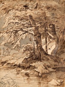 træ undersøgelse af Friedrich August Mathias Gauermann