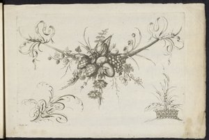 Festool van frugter, bladere og blomster En anden ny feston af blomster og frugter (serietitel) af Friedrich Jacob Morisson