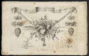 Anderledes ny festoon af blomster og frugter af Friedrich Jacob Morisson