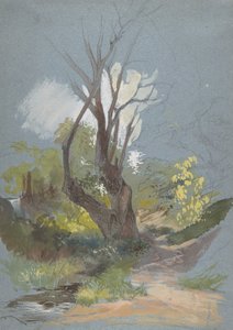 Bjergsti med et træ, 1820-78.