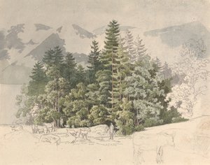 Alpine Landskab