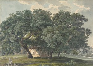 Italiensk landskab med træer recto, 1815-21.