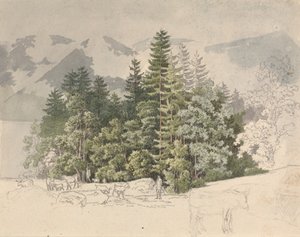 Alpint landskab (gouache over grafit)
