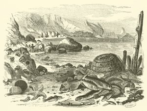 Fiskeri (gravering) af Friedrich Specht