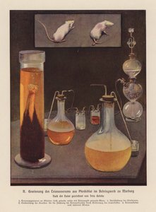 Udvinding af stivkrampeserum fra hesteblod, Marburg, Tyskland (farvelitografi) af Fritz Gehrke