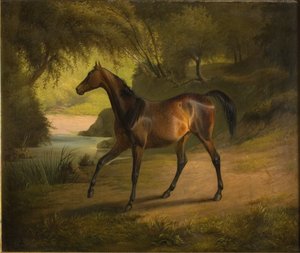 Antonia af Fritz Thomsen