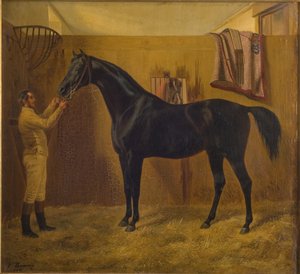 Sort komet