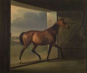 Jutta af Fritz Thomsen