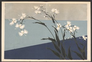 Shasei sôka môyô, Mønstre af planter og blomster fra livet af Furuya Korin