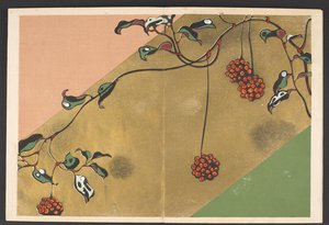 Shasei sôka môyô, Mønstre af planter og blomster fra livet af Furuya Korin