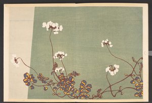 Shasei sôka môyô, Mønstre af planter og blomster fra livet af Furuya Korin