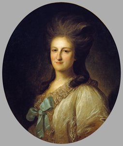 Russisk: "Portræt af V.E. Novosiltsova" Portræt af V.E. Novosiltsova. Novosiltsova af Fyodor Rokotov