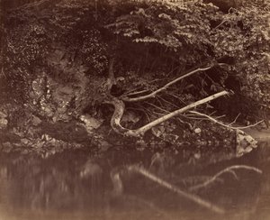 River Bank i Vale of Neath, ca. 1855. af G. B. Gething
