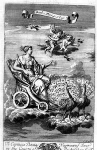 Venus i en vogn tegnet af påfugle, illustration fra bog 1, del 6, kapitel 13 af 