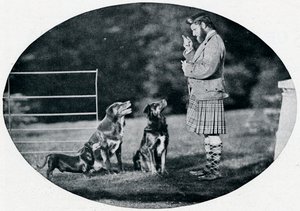Mr. Francis Clark, The Queens Gillie, med tre af hendes yndlingshunde, c1899, 1901