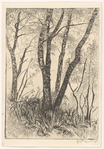 Træer i højt græs af G. van der Mey (signed by artist)