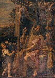 David spiller harpe