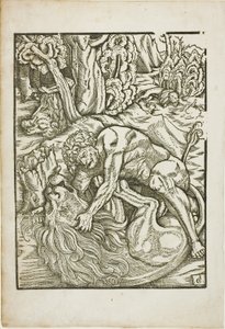 Hercules Strangling the Nemean Lion, fra Labours of Hercules