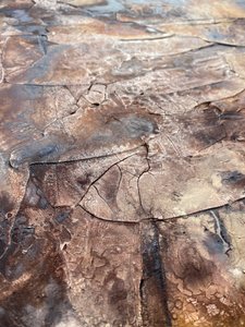  af Gabriela Aleksandra Szuba