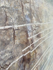  af Gabriela Aleksandra Szuba